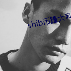 shib币(幣)重大(大)利好