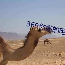 369你懂的電影在線觀看36