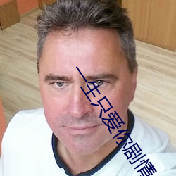 一生只爱你剧情分集介绍