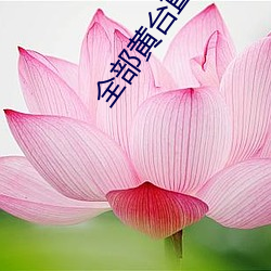 全部黄台(台)直播
