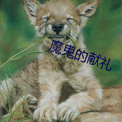 魔鬼(guǐ)的献礼(lǐ)