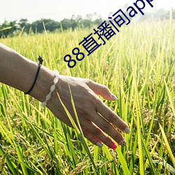 88直播(播)间app