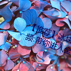 推薦】冰塊棉簽夾子酒精放pp視頻:帶你進入全新視聽體驗!