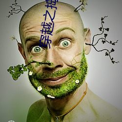 穿越之搗亂還珠