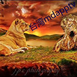 台湾mdapptv下载