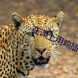 在课上用鸡插英语课代表视