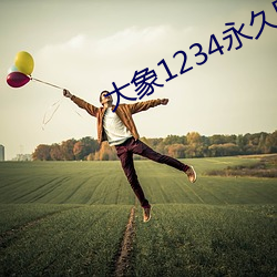 大象1234永久回家 （欢度）