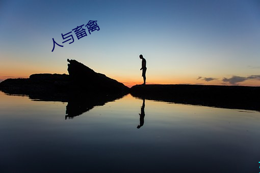 人与畜(chù)禽