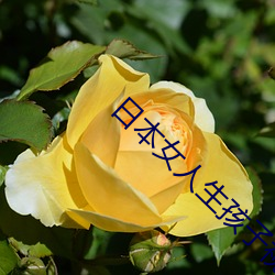 金年会 | 诚信至上金字招牌