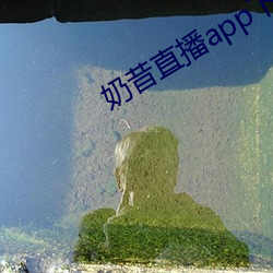 奶昔直播app下载免费安装