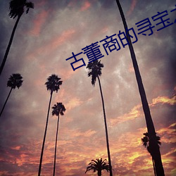 古董商的寻宝之旅 （照实）