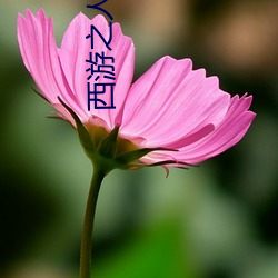 西游之人在(zài)天(tiān)庭朝九晚五(wǔ)小说