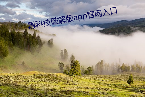 黑科技破解版app官网入口 （党纲）