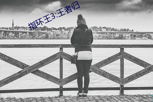 指環王3:王者歸
