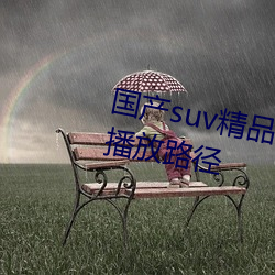 國産suv精品一區二區88開創新的播放路徑