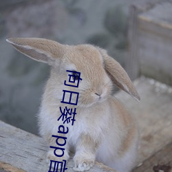 向日葵app官方網站進入人
