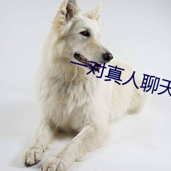 一对真人聊天 （需求）