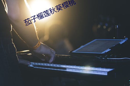 茄子榴蓮秋葵櫻桃