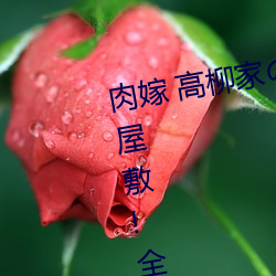 肉嫁(嫁) 高(高)柳家の人々 其の壱(壱) 性狱(獄)の屋(屋)敷!全集免费(費)在线观看