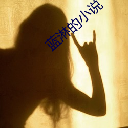 蓝淋(淋)的小说