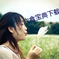 六盒宝典下载 （望风承旨）