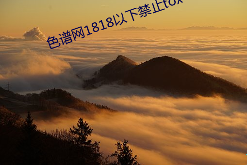 色谱网(網)1818以下禁止tox