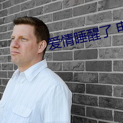 爱情(情)睡醒(醒)了 电视(視)剧