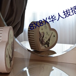 8X8X华人拔插华人免费免费全集