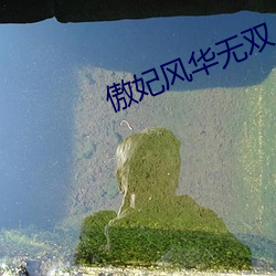 傲(傲)妃风华无双