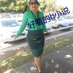 好看的h小說