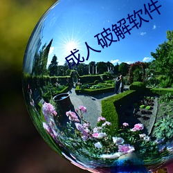 成人破解(jiě)软件