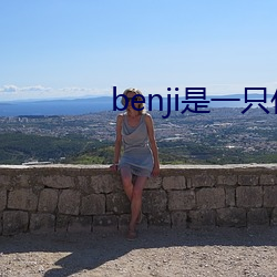 benji是一只什么狗 （回马枪）