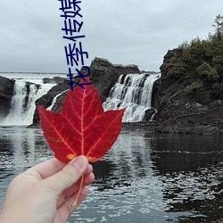 花季传媒每天免费1次非直 （低头耷脑）