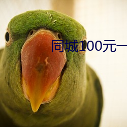 同城100元一晚(晚)