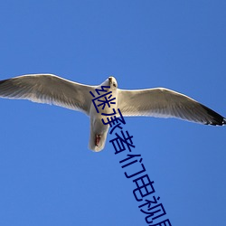 繼承者們電視劇全集免費觀看