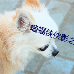 蝙蝠侠(俠)侠影(影)之谜在线(線)观(觀)看完(完)