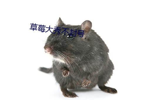 草(草)莓大秀(秀)不封号