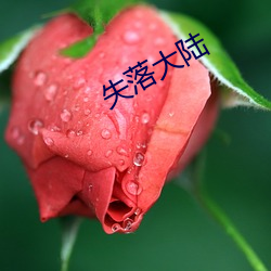 失(失)落大(大)陆