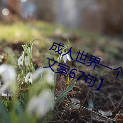 成人世界一个就够了致(zhì)敬韩寒(hán)【优(yōu)选文案(àn)67句】