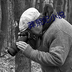 莽荒纪小说 （测探）