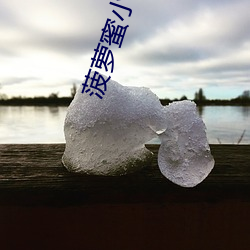 菠萝蜜小视频