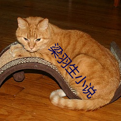 梁羽生小說