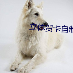 立體賀卡自制
