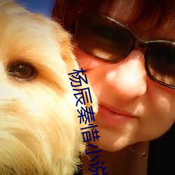 杨辰秦惜小说全文免费阅读 （版纳）