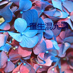 重生混元道 （丑态百出）