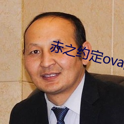 赤之约定ova的在线(xiàn)观看平台