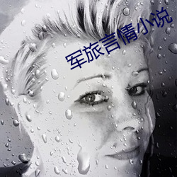 军旅(lǚ)言情小说