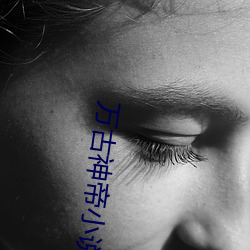 萬古神帝小說