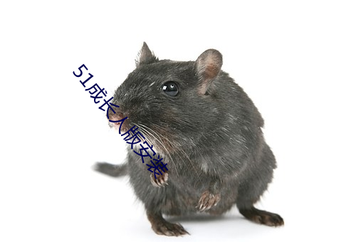 51成长人版安装