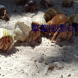 草莓視頻iOS在線下載地址